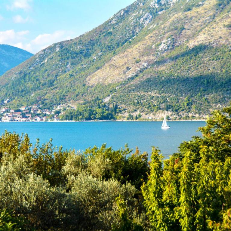 Step to Kotor bay St-oliv - Apartment with Sea View - 11