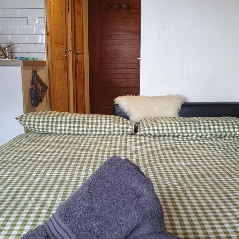 Updated cosy apartment, terrace, 10 mins to ski - Appartement 1 Chambre - 7