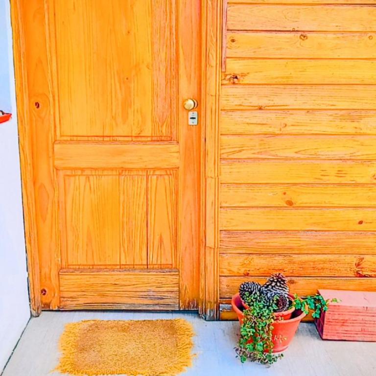 EcoLodge Apartment House - Apartamento de 1 dormitorio - 1