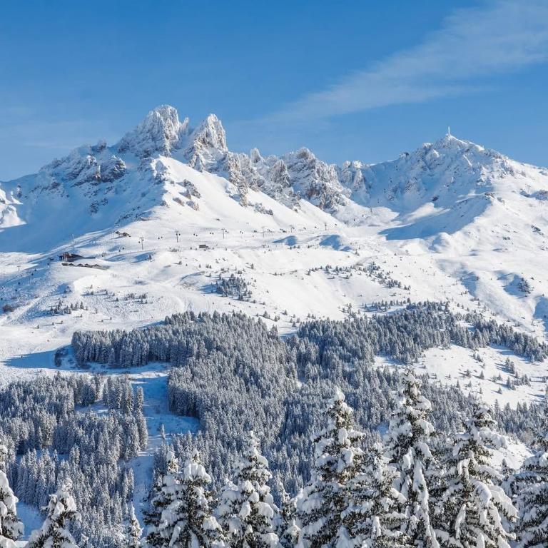 Magnifique 4 pièces de luxe pour 6 personnes - vue exceptionnelle - idéal pour une famille ou des amis - proche des pistes - Méribel Mottaret - Apartment mit 3 Schlafzimmern und Bergblick - 9