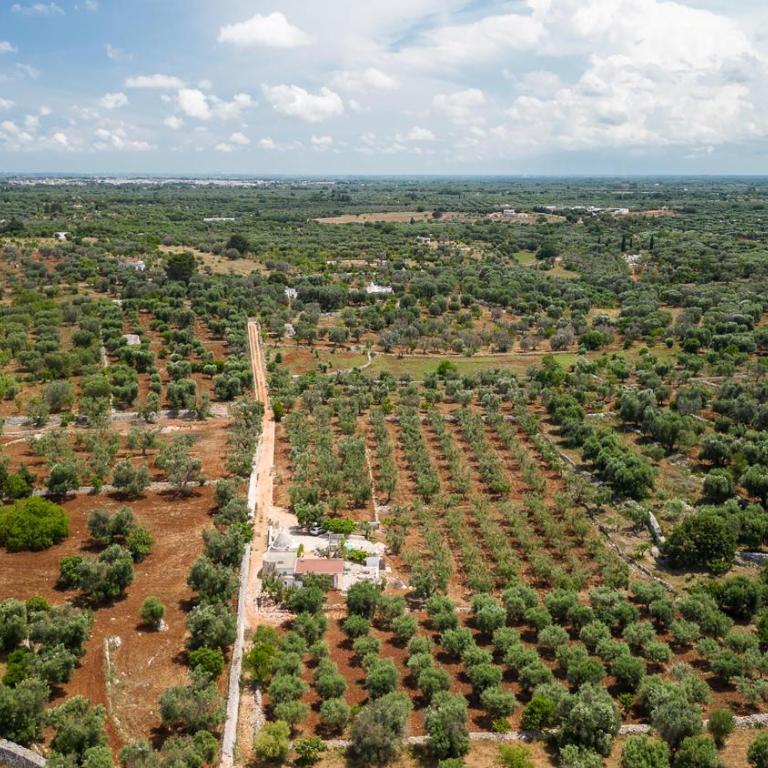Trullo Solleone by Perle di Puglia - Villa con Piscina Privata - 44