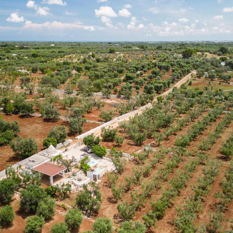 Trullo Solleone by Perle di Puglia - Villa con Piscina Privata - 45