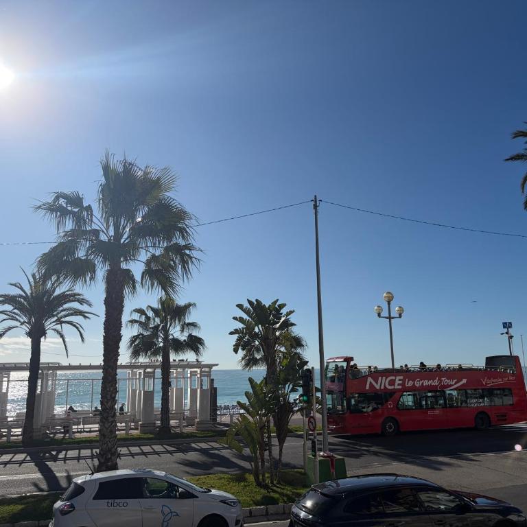 Le Miami - Nice - Appartement 1 Chambre - 49