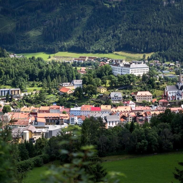 Panorama Apartment Bauernhof Mandl - Appartement avec Balcon - 45