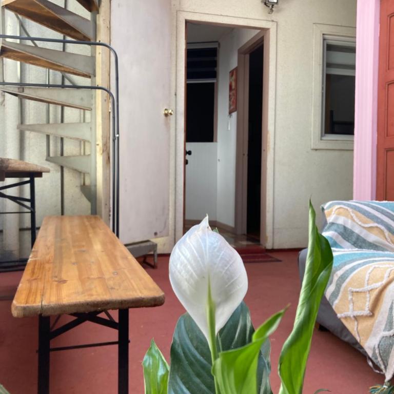 Excelente ubicación Depto con estacionamiento pet friendly - One-Bedroom Apartment - 20