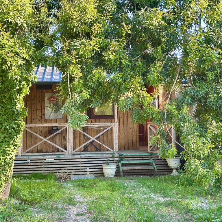 Amazonas Pirates 3 - Koliba sa 2 Spavaće Sobe - 6