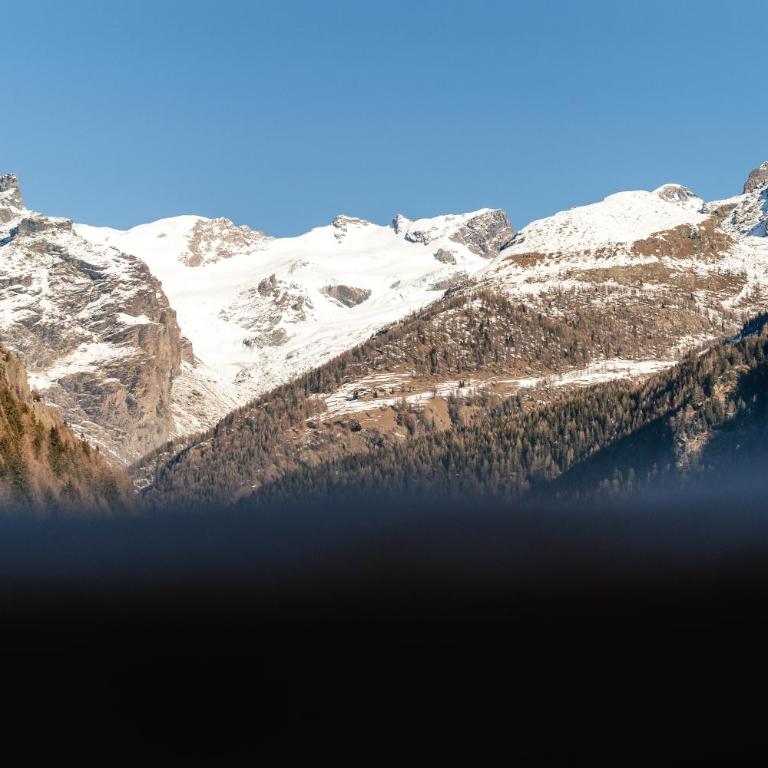 Breithorn Lodge - Suite Junior avec Terrasse - 7