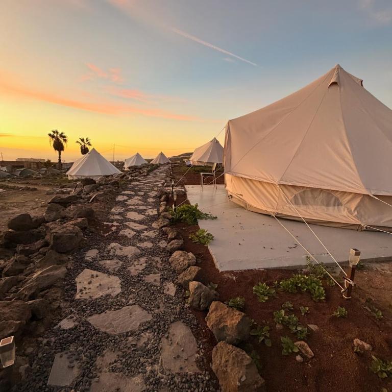 The Tree House Surf Camp - XL Glamping Tent - 7