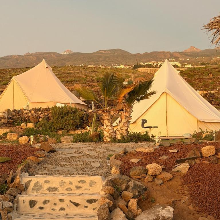 The Tree House Surf Camp - XL Glamping Tent - 6
