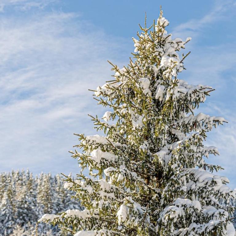 Orso Chalet - La Clusaz - Three-Bedroom Chalet - 47