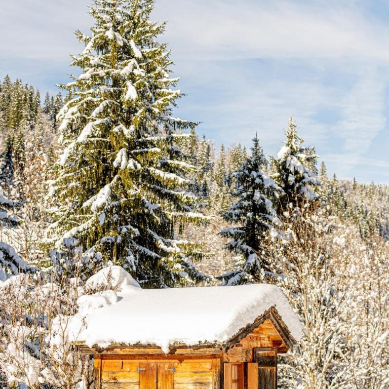 Orso Chalet - La Clusaz - Three-Bedroom Chalet - 51