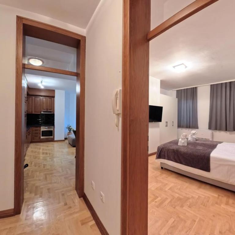 Apartmani Central 2 & Free Parking - Apartman sa 2 Spavaće Sobe - 5