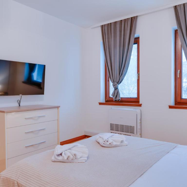 Apartmani Central 2 & Free Parking - Apartman sa 2 Spavaće Sobe - 9