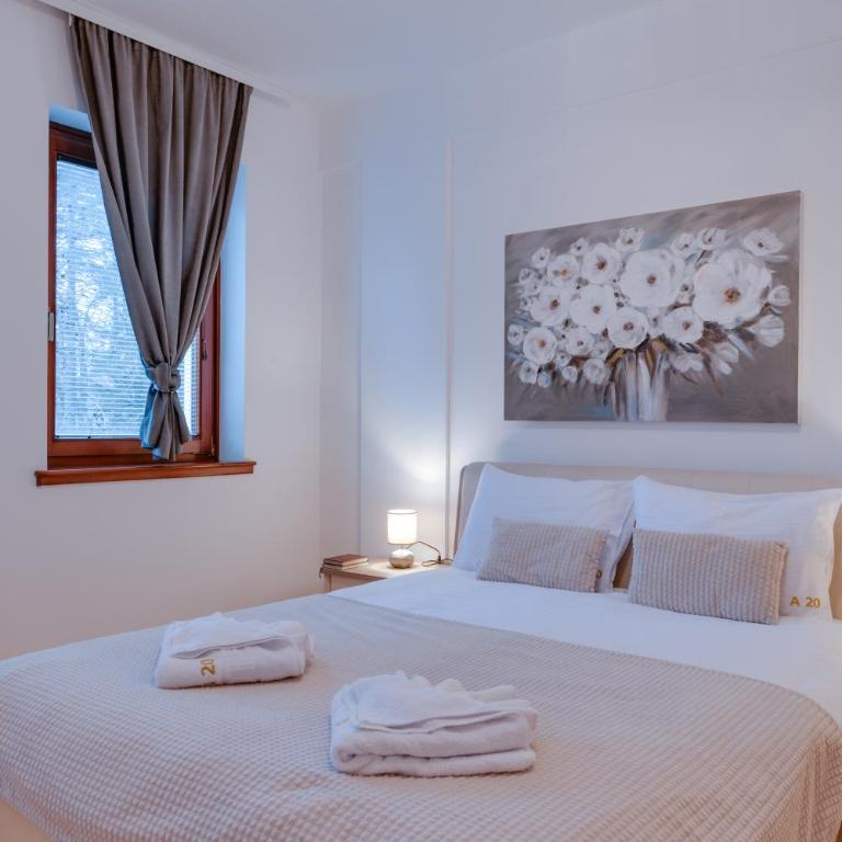 Apartmani Central 2 & Free Parking - Apartman sa 2 Spavaće Sobe - 13