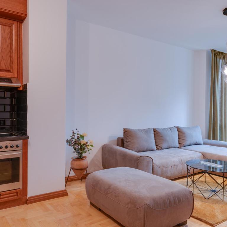 Apartmani Central 2 & Free Parking - Apartman sa 2 Spavaće Sobe - 17