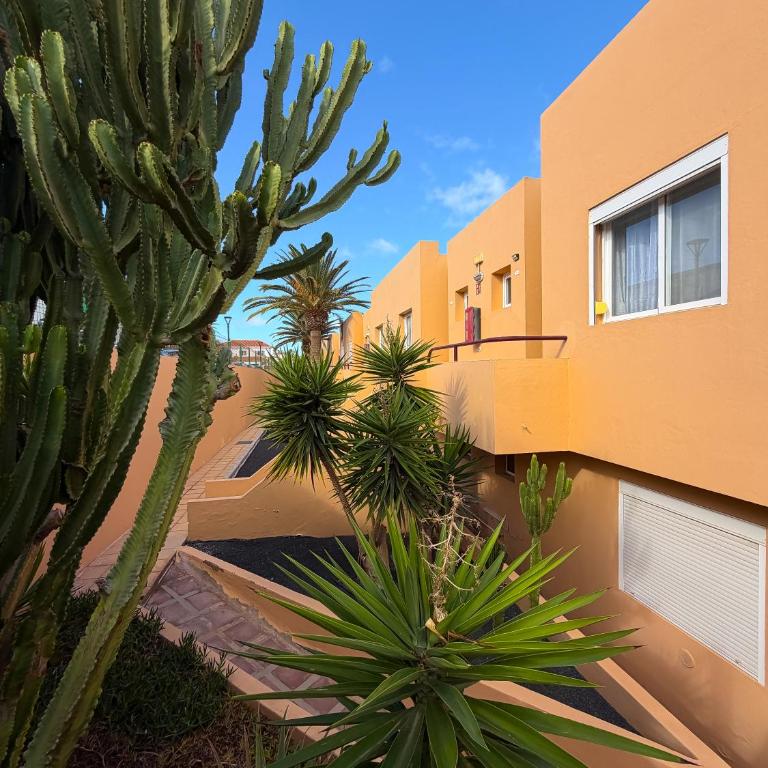 El Rincón de Sara by Best Holidays Fuerteventura - Apartamento con vistas al jardín - 41