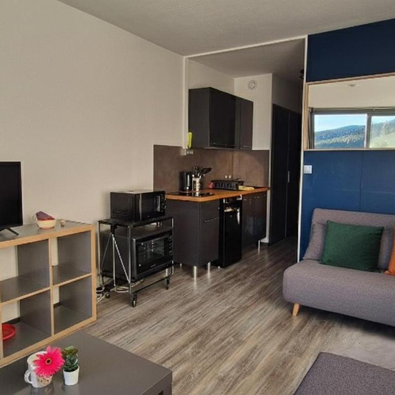 Studio moderne au pied des pistes - One-Bedroom Apartment - 2