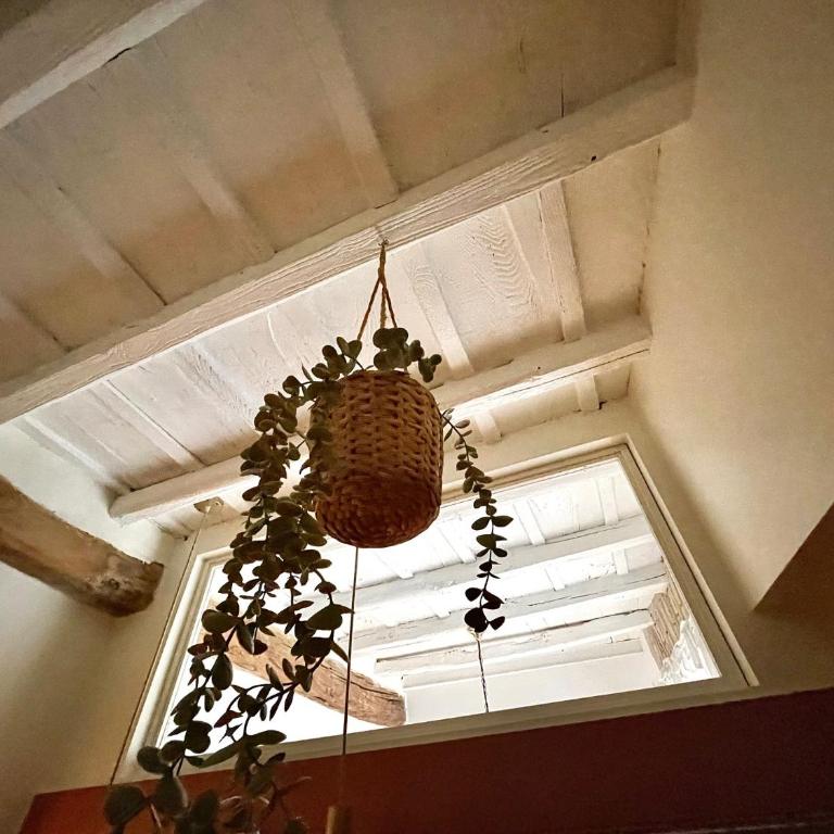 PianoDue In Trastevere - Two-Bedroom Apartment - 29