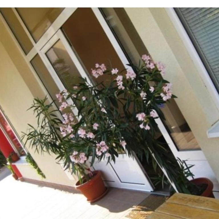 Vila Natalija - Apartman sa 1 Spavaćom Sobom - 6