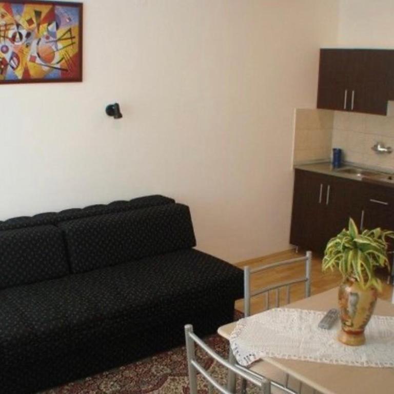 Vila Natalija - Apartman sa 1 Spavaćom Sobom - 7