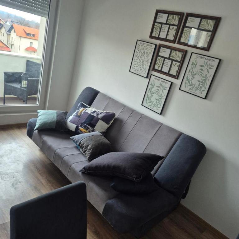 Apartman Jovanovic Royal Stay - Apartman sa 1 Spavaćom Sobom - 3