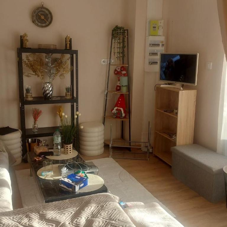 La belle vue - Appartement 2 Chambres - 14