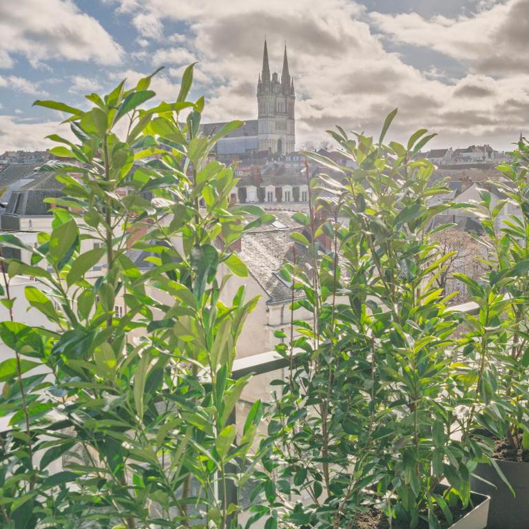 Le Molière Appartement Rooftop - Appartement avec Terrasse - 38
