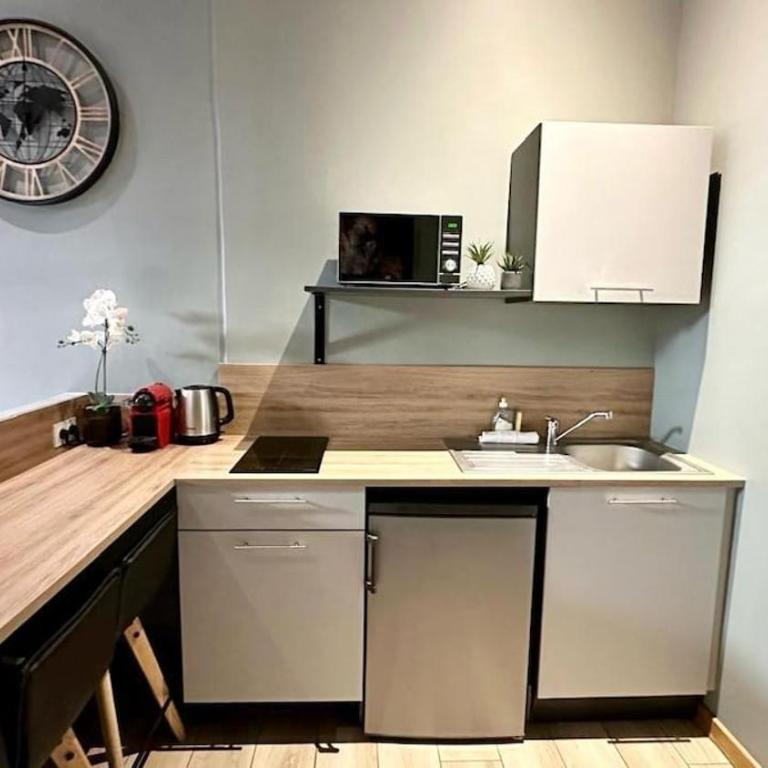 71 Lacassagne 2 - Studio - Partdieu - Appartement 1 Chambre - 9
