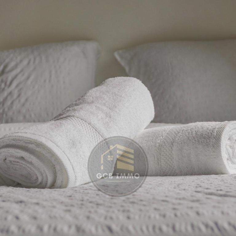 Le Gambetta T3 Hyper Center - Appartement 2 Chambres - 23