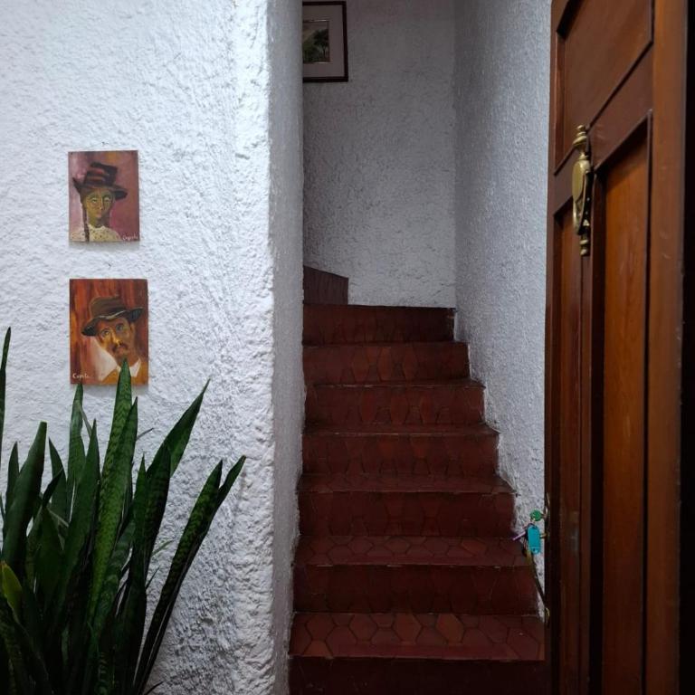 Apartamento amplio y muy bien ubicado - Apartamento de 3 dormitorios - 36