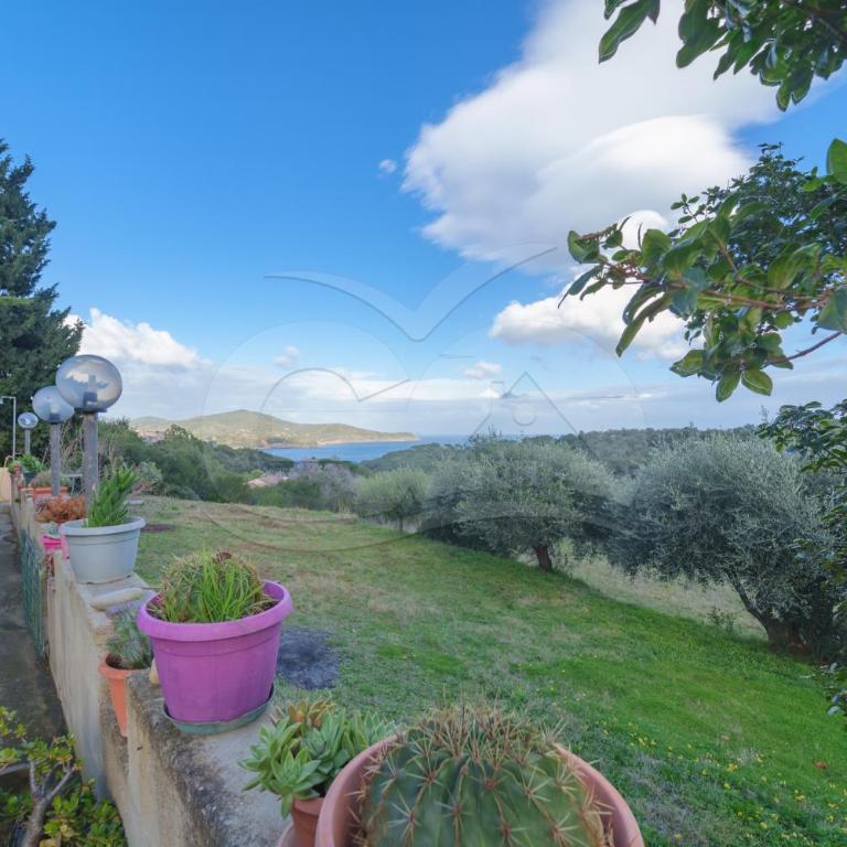Appartamenti Lentisco - Goelba - Appartamento con 1 Camera da Letto - 1