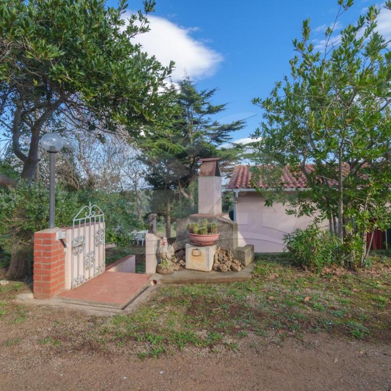 Appartamenti Lentisco - Goelba - Appartamento con 1 Camera da Letto - 5