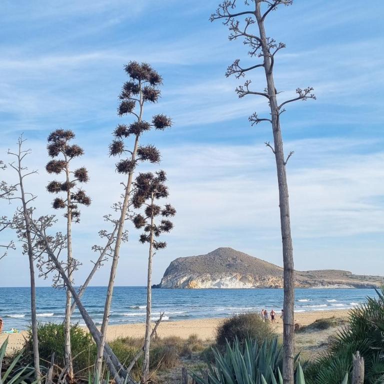 La Casa del Sur - Apartamento de 2 dormitorios - 35
