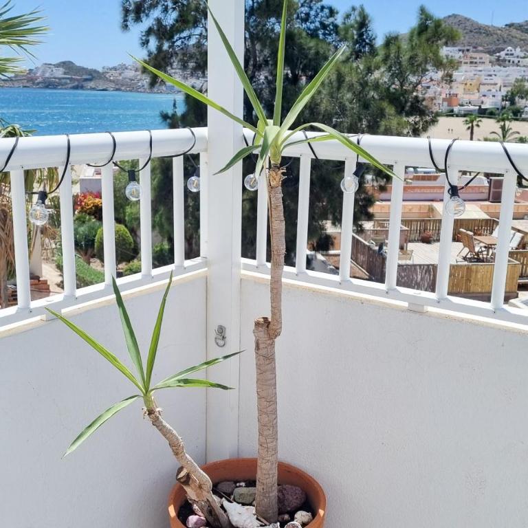 La Casa del Sur - Apartamento de 2 dormitorios - 9