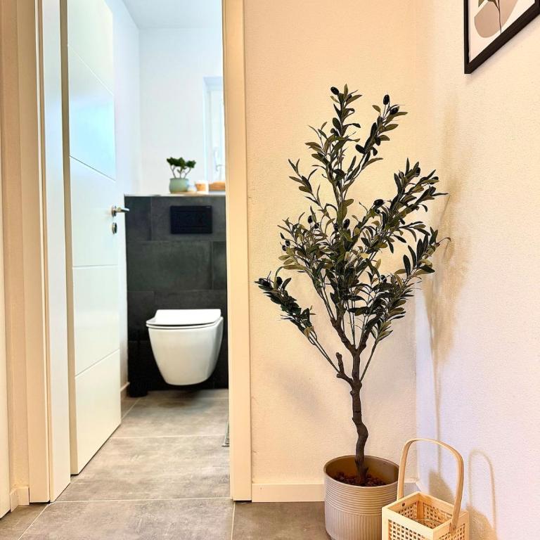Cozy Apartment mitten in Oberstaufen - Apartment mit 1 Schlafzimmer - 13