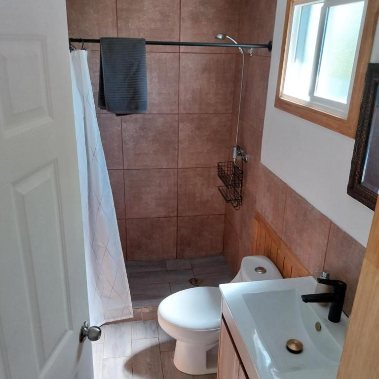Cabaña Lefuco, Curacautin - One-Bedroom House - 12