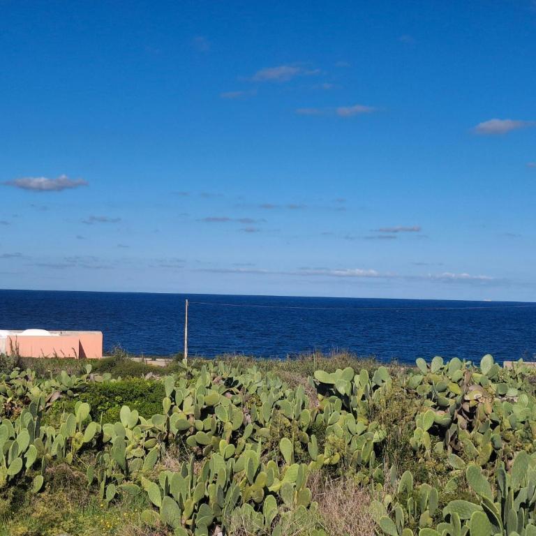 Elio&Mina - Dammusi e Appartamenti con vista mare - Appartamento con Vista Mare - 21