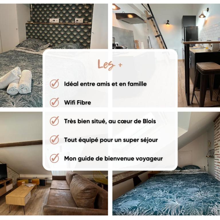 Le Duplex Chartrain - Séjour au cœur de Blois - Apartamento - 2 niveles - 6