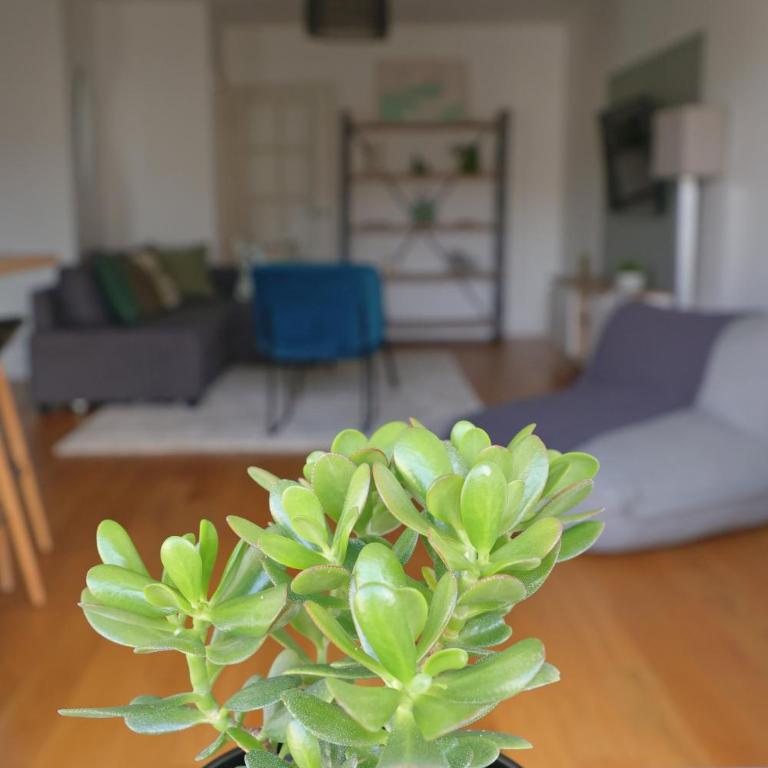 Le cocon des olivettes - 5 people - CHU - Parking - Appartamento con 2 Camere da Letto e Balcone - 28