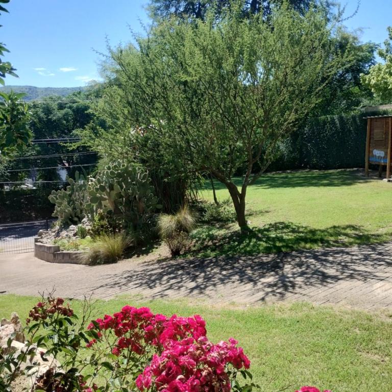 La casa del Algarrobo - Apartamento con vistas a las montañas - 17