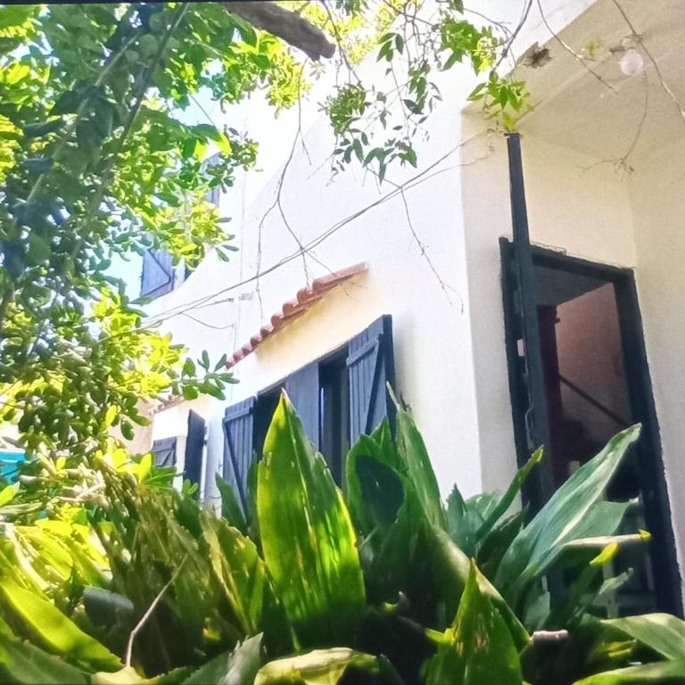 Frescaaa - Casa de 3 dormitorios - 15