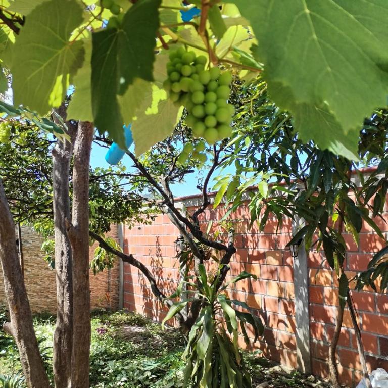 Casa amplia pet friendly cerca al Gallineral - Casa - 28