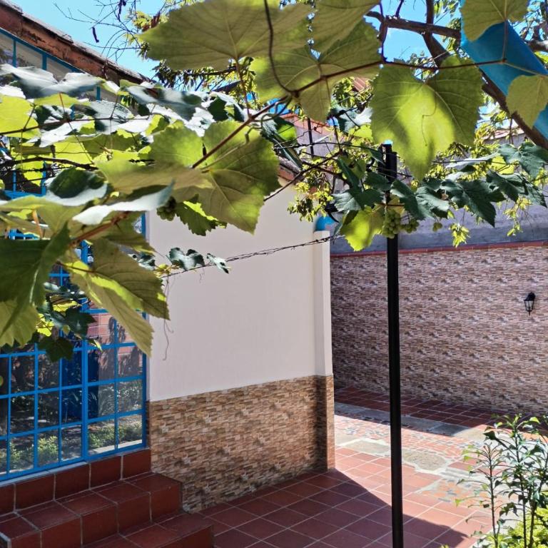 Casa amplia pet friendly cerca al Gallineral - Casa - 29