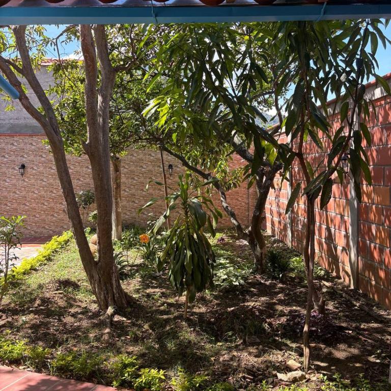 Casa amplia pet friendly cerca al Gallineral - Casa - 34