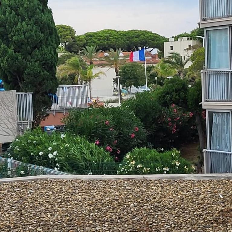 Cigale de mer 2 Plage et centre ville - Studio - 19