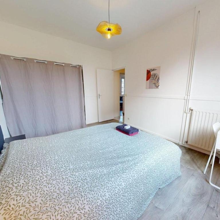 Comfortable apartment Rue Gustave Brindeau - Appartement 2 Chambres - 6