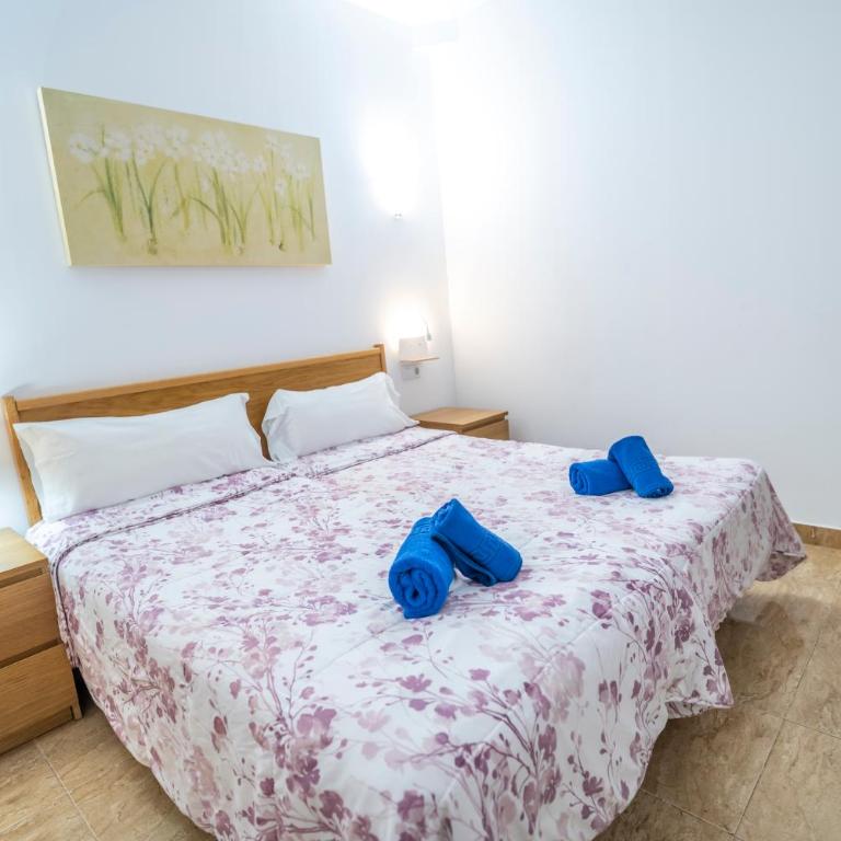 Edificio Prieto VIV 2C - Apartamento - 24