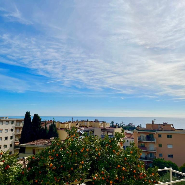 Magnifique appartement 2p dans une villa avec vue mer, terrasse & parking privé - Appartamento con 1 Camera da Letto - 1