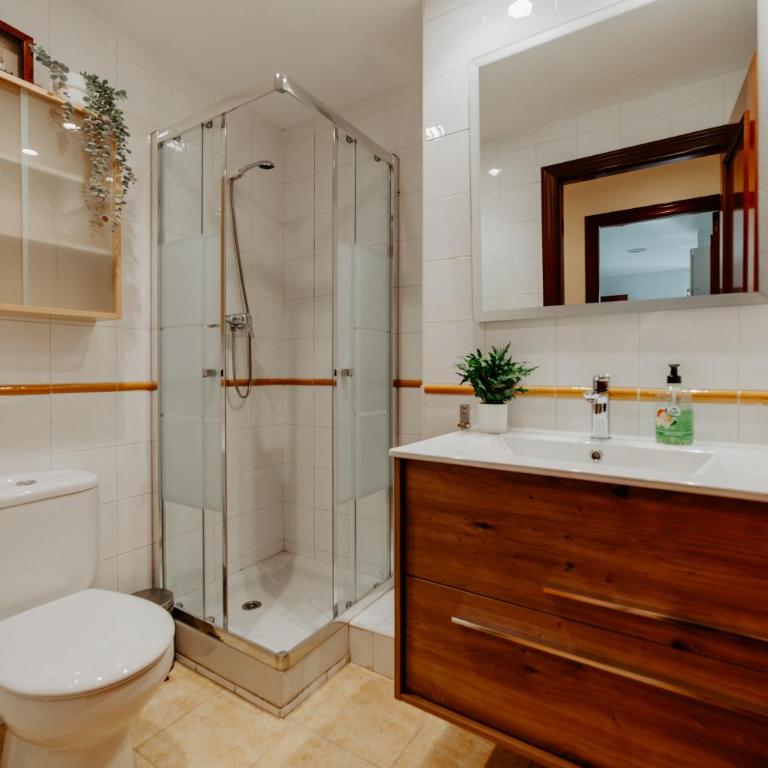 NUEVO Gran Reserva Terrace Centro Logroño - Apartamento de 3 dormitorios - 25