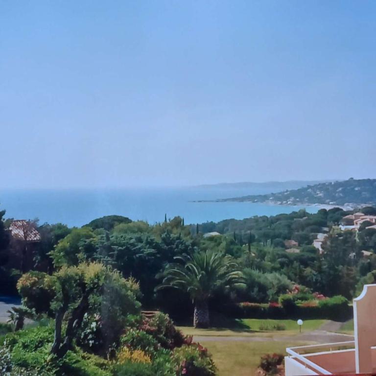 SM180-305 SAINTE MAXIME Appartement Vue mer T2 Piscine et parking - Apartamento 1 dormitorio con vistas al mar y terraza - 3